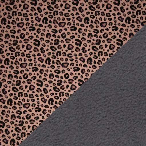 Nanosoftshell - "Fiete"- Leo - apricot