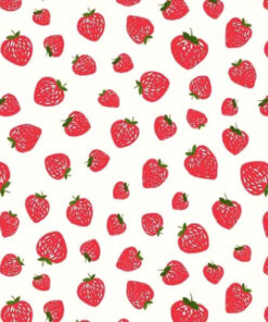 Baumwolle - Michael Miller " Erdbeeren" - rot / weiss