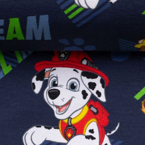 Baumwolljersey- Paw Patrol - blau / bunt